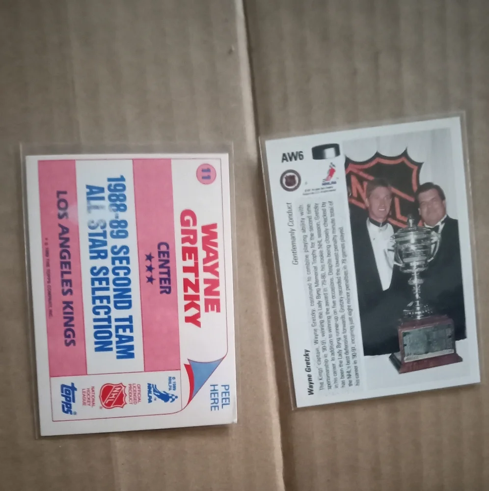 Wayne Gretzky 2 Card Lot 